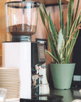 Anfim Alba Expresso Grinder