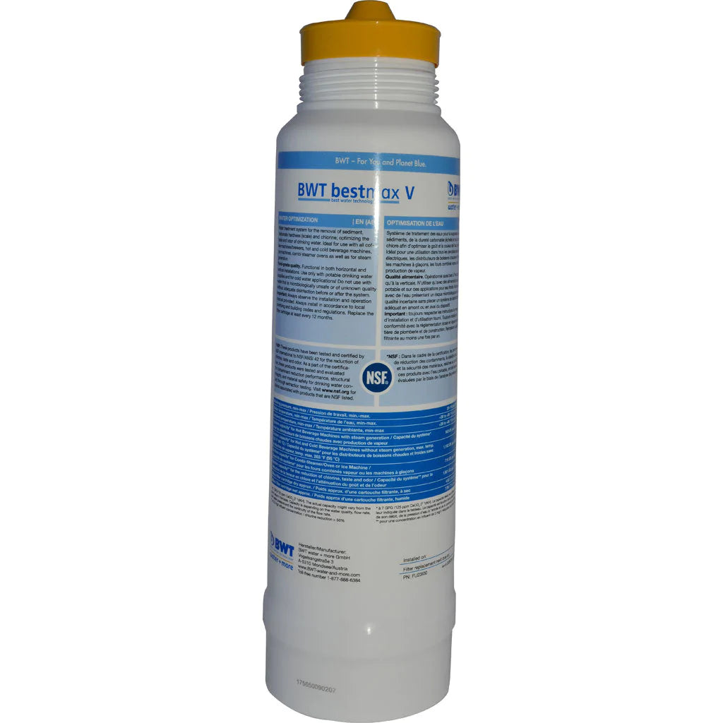 BWT Bestmax Plumed Mini Kit Deluxe + Premium Filter save $30.00.